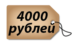 Цена 4000 рублей