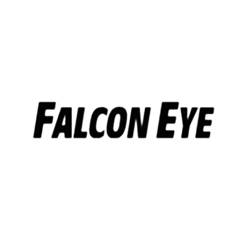 Сервисный центр Falcon Eye в Воронеже
