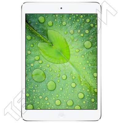Ремонт iPad Mini 2