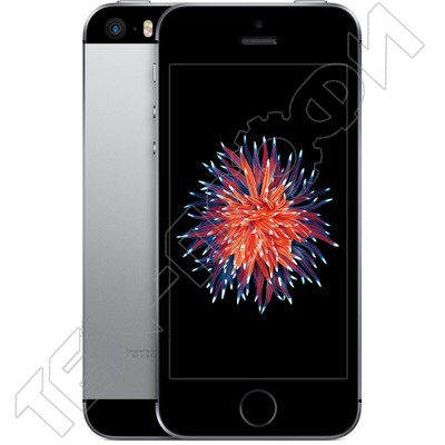 iPhone 5 SE