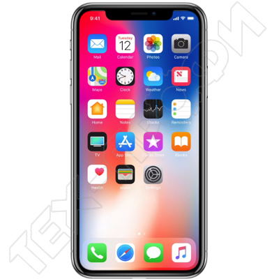 iPhone X