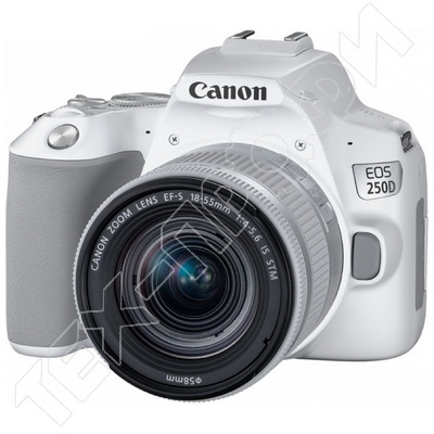 Ремонт Canon EOS 250D