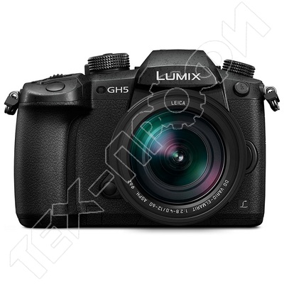 Ремонт Panasonic Lumix DC-GH5M2
