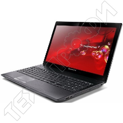 Ремонт Packard Bell Easynote Tk81