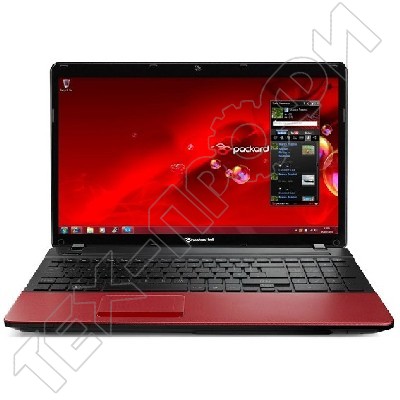 Ремонт Packard Bell Easynote Ts45 Amd
