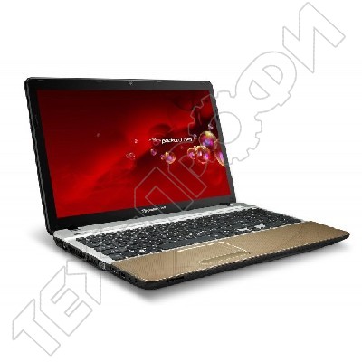 Ремонт Packard Bell Easynote Tsx66