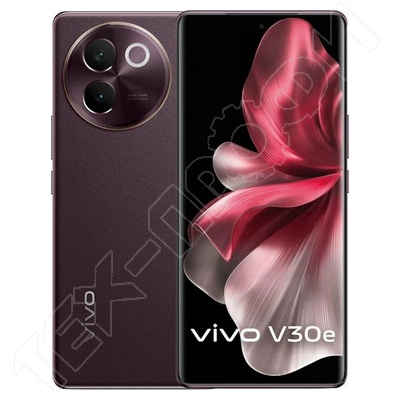 Ремонт Vivo V30e